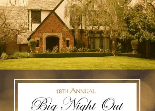 18th annual big night out