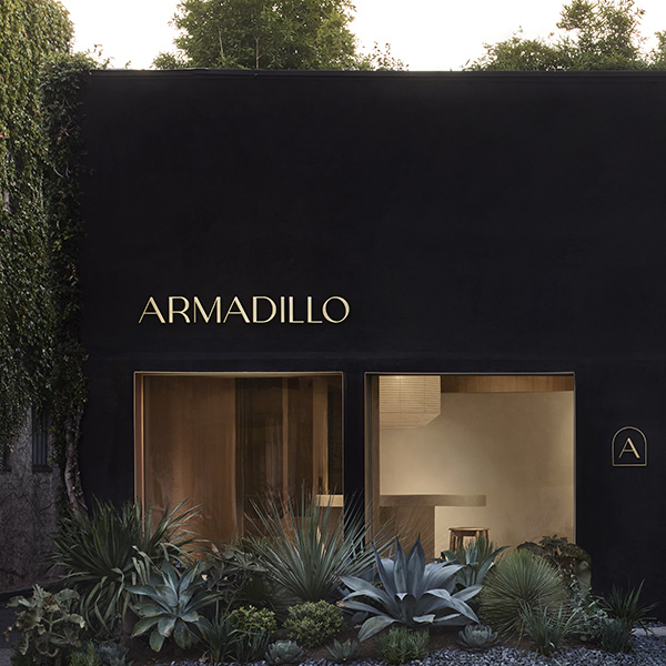 Armadillo Showroom